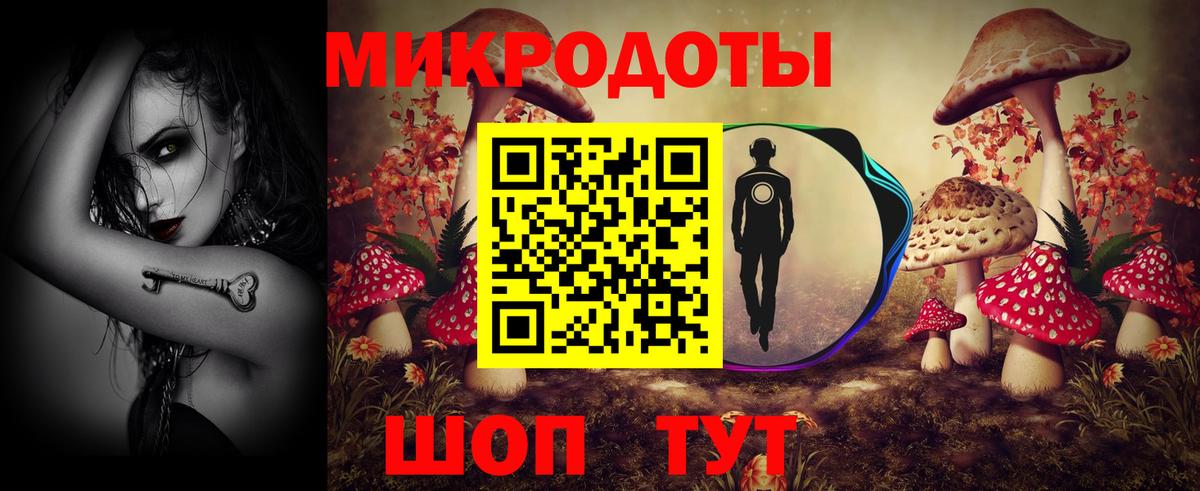 Псилоцибиновые грибы Psilocybine cubensis Светлоград