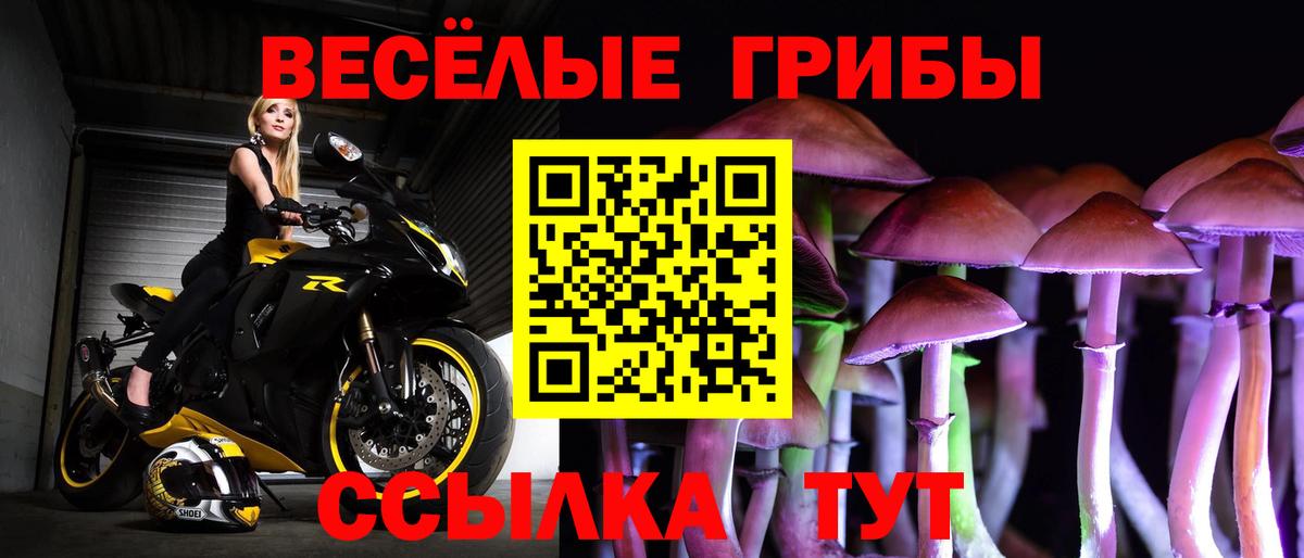 Псилоцибиновые грибы мухоморы  Вход с VPN  Светлоград  Галлюциногенные грибы GOLDEN TEACHER 
